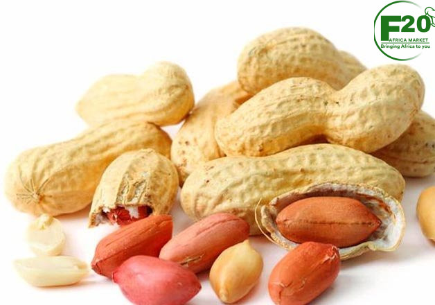 Groundnuts (Peanuts) - Image 3