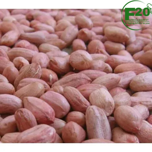 Groundnuts (Peanuts) - Image 2