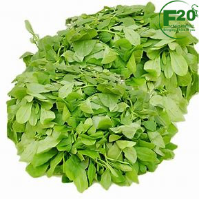 Tasty foods – Waterleaf – 500g - Image 4