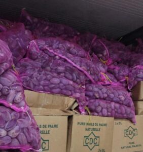 africa plums for sale