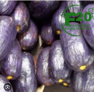 Africa Plums
